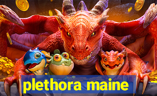 plethora maine